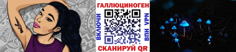 Галлюциногенные грибы Cubensis  Кириши 